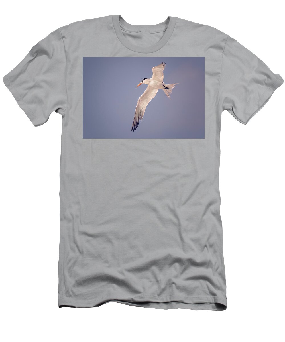 Animal T-Shirt featuring the photograph Gull #2 by Peter Lakomy