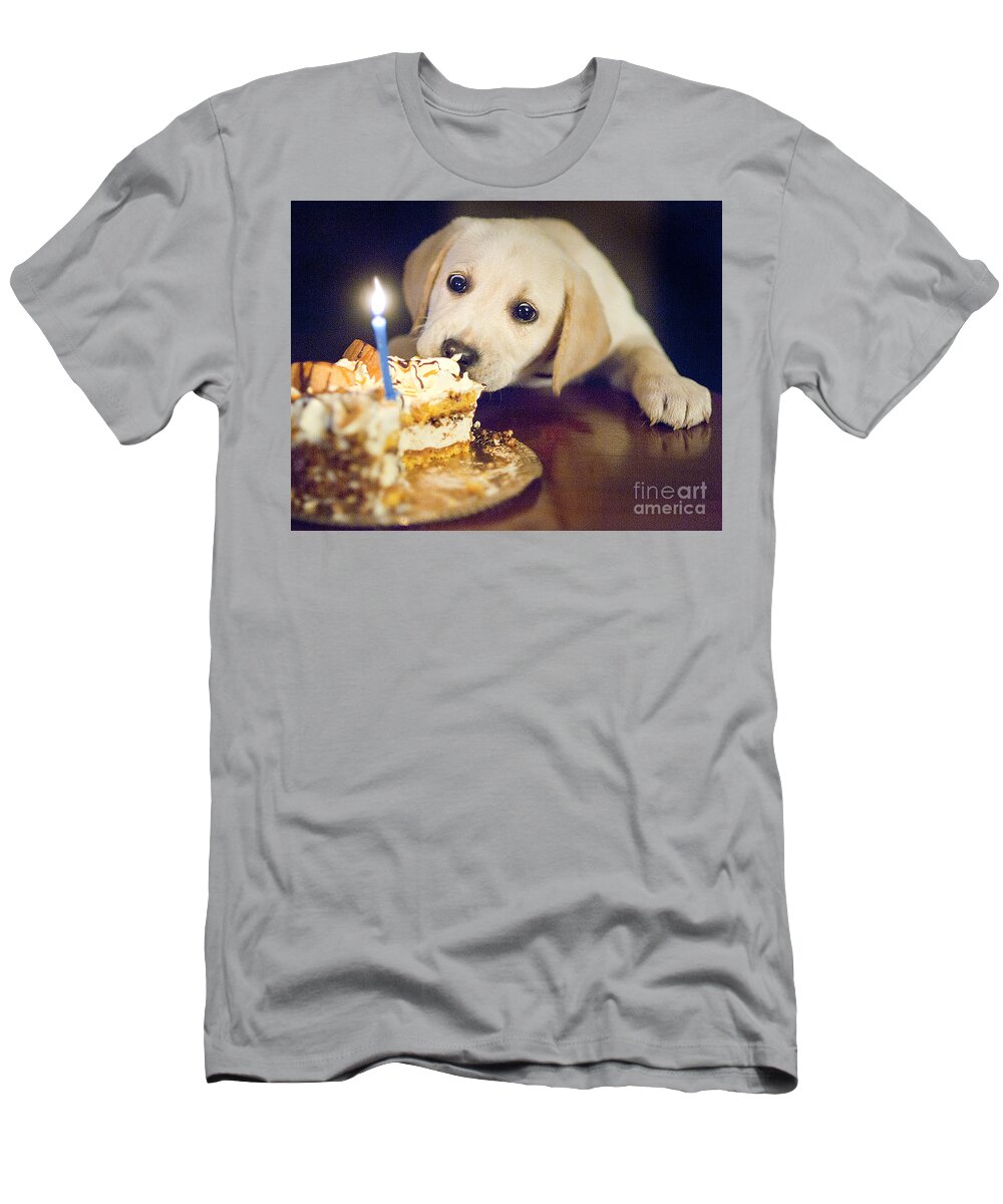Labrador T-Shirt featuring the photograph Labrador #3 by Romeo Lombardi