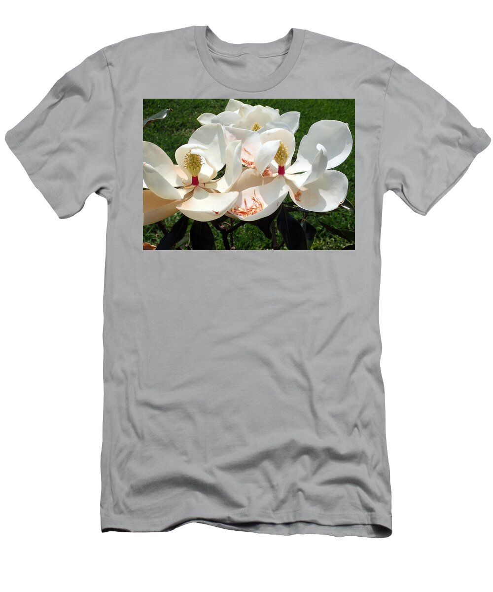 Magnolia T-Shirt featuring the photograph Magnolia Blossom #1 by Farol Tomson