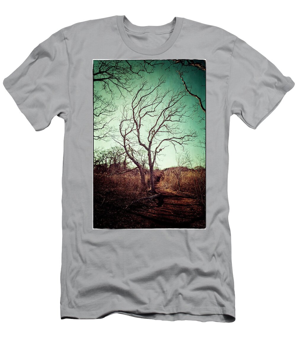Sandwich Game Farm T-Shirt featuring the photograph Tree #2 by Frank Winters