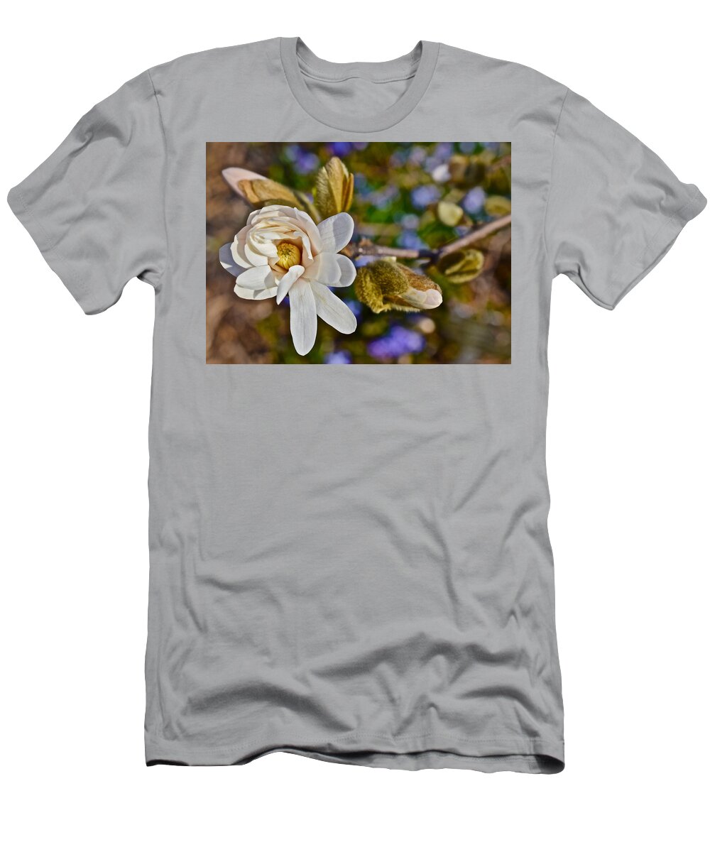 Magnolia T-Shirt featuring the photograph 2016 Early Spring Powder Puff Lebner Magnolia 1 by Janis Senungetuk