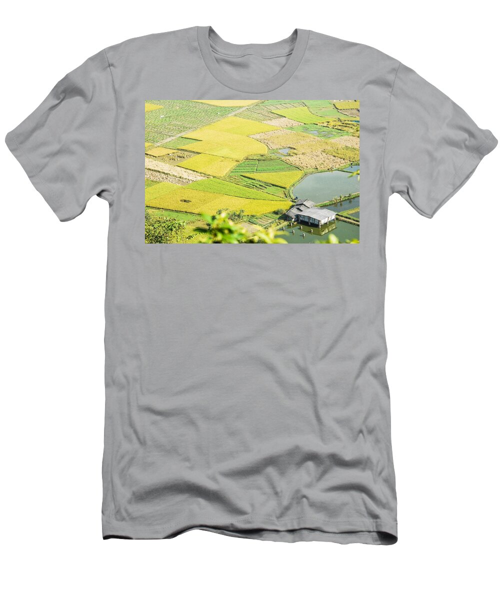 Rice T-Shirt featuring the photograph Rice fields scenery in autumn #29 by Carl Ning