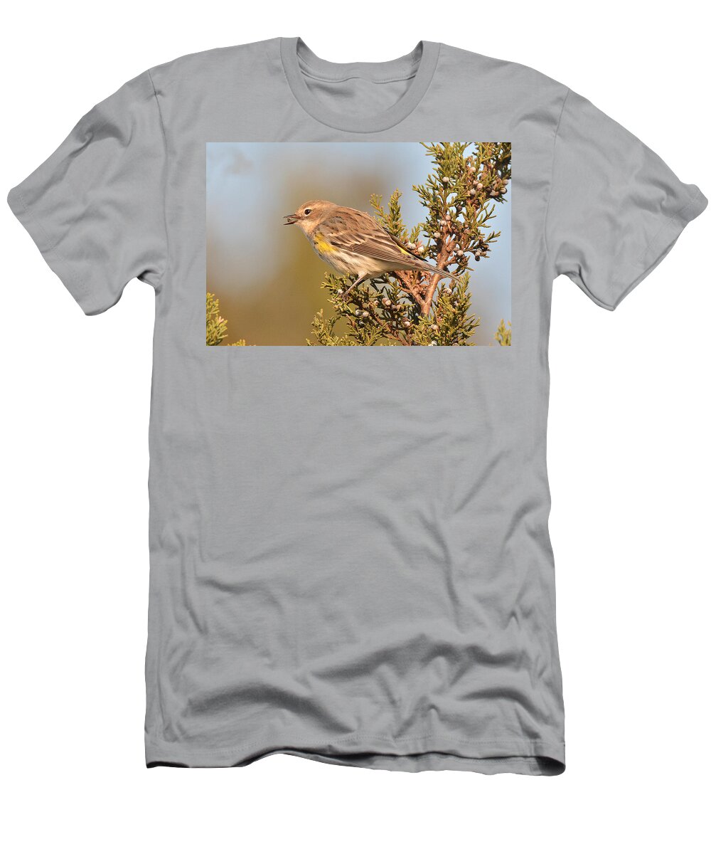 Bird T-Shirt featuring the photograph Yellow-Rumped Warbler #3 by Alan Lenk