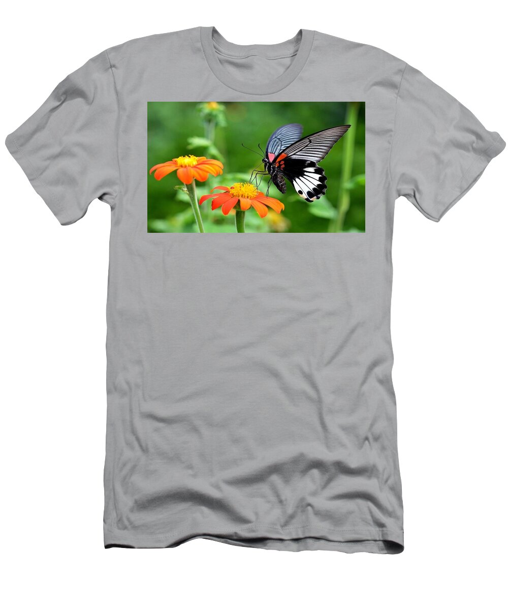 Butterfly T-Shirt featuring the photograph Butterfly #34 by Jackie Russo