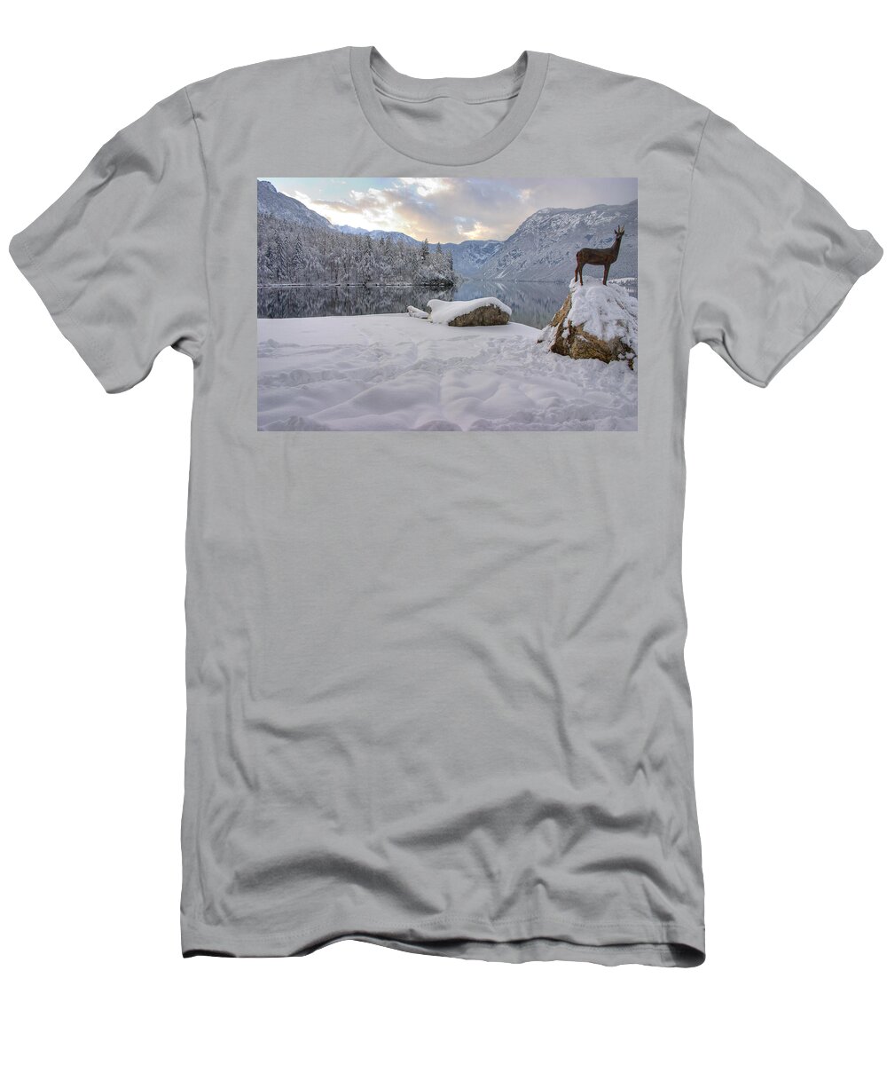 Beautiful T-Shirt featuring the photograph Alpine winter reflections #4 by Ian Middleton