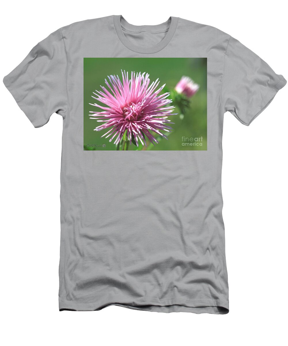Mccombie T-Shirt featuring the photograph Aster named Unicum Rose #3 by J McCombie