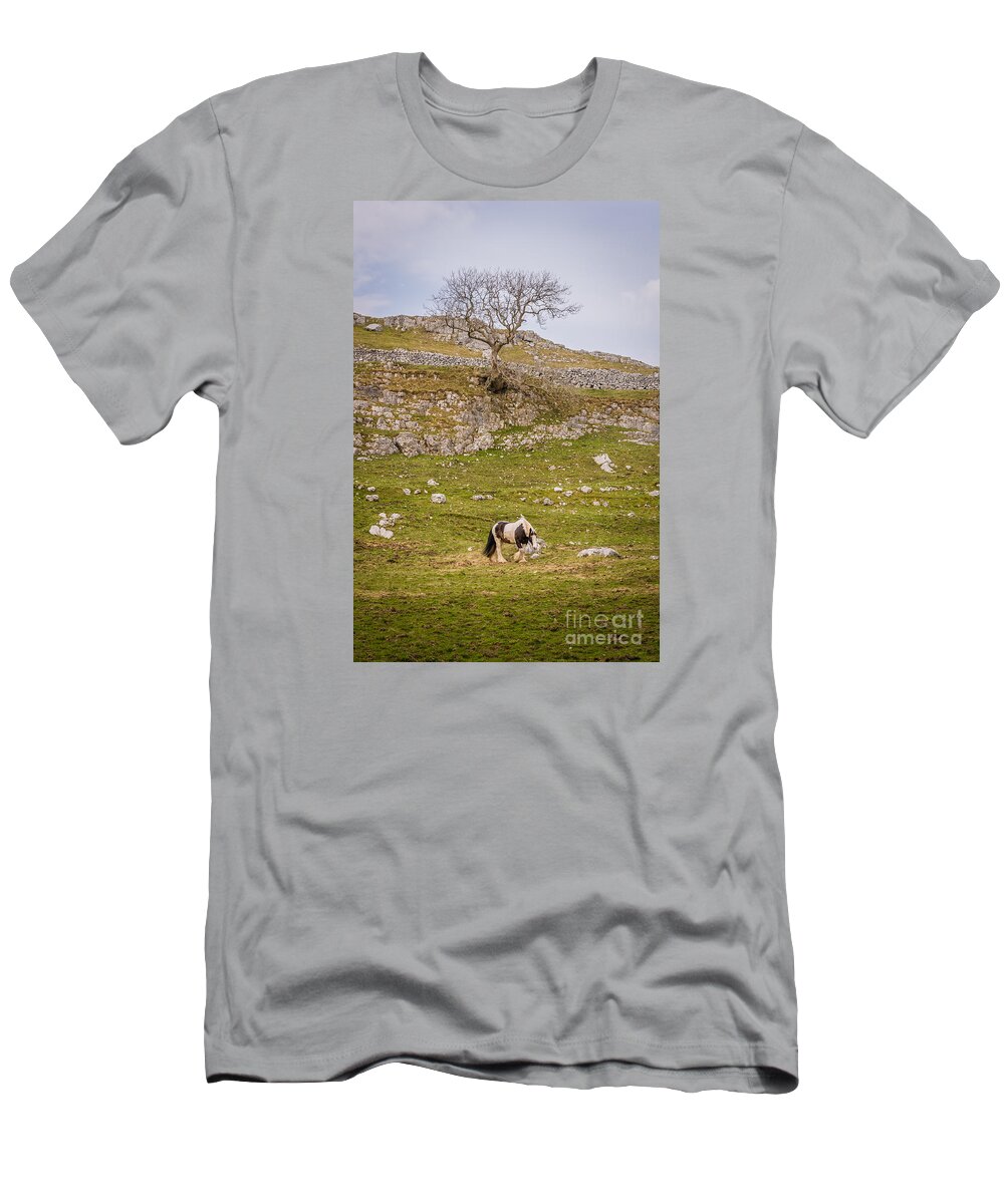 D90 T-Shirt featuring the photograph Horse by Mariusz Talarek