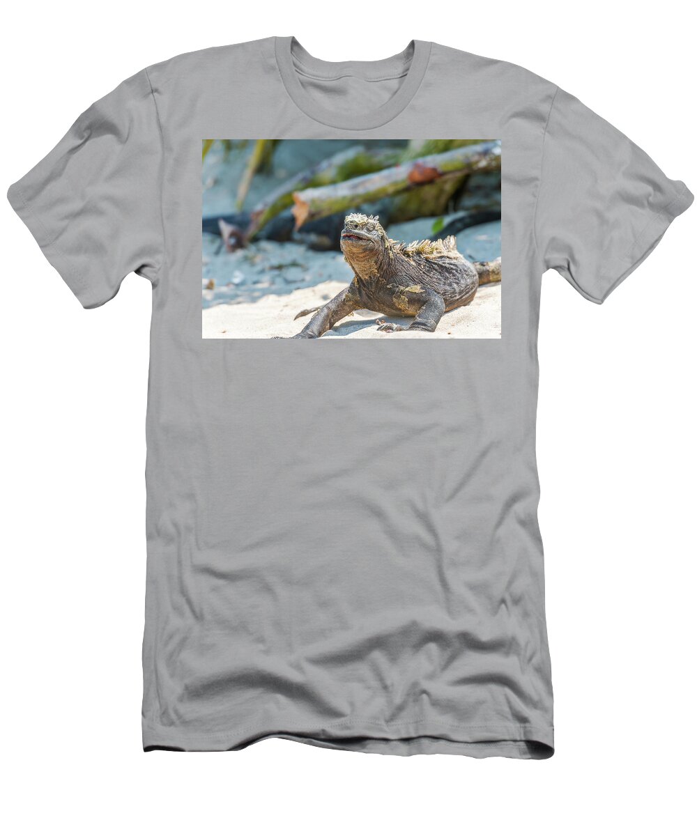 Marine Iguana T-Shirt featuring the photograph Marine Iguana on Galapagos Islands #4 by Marek Poplawski