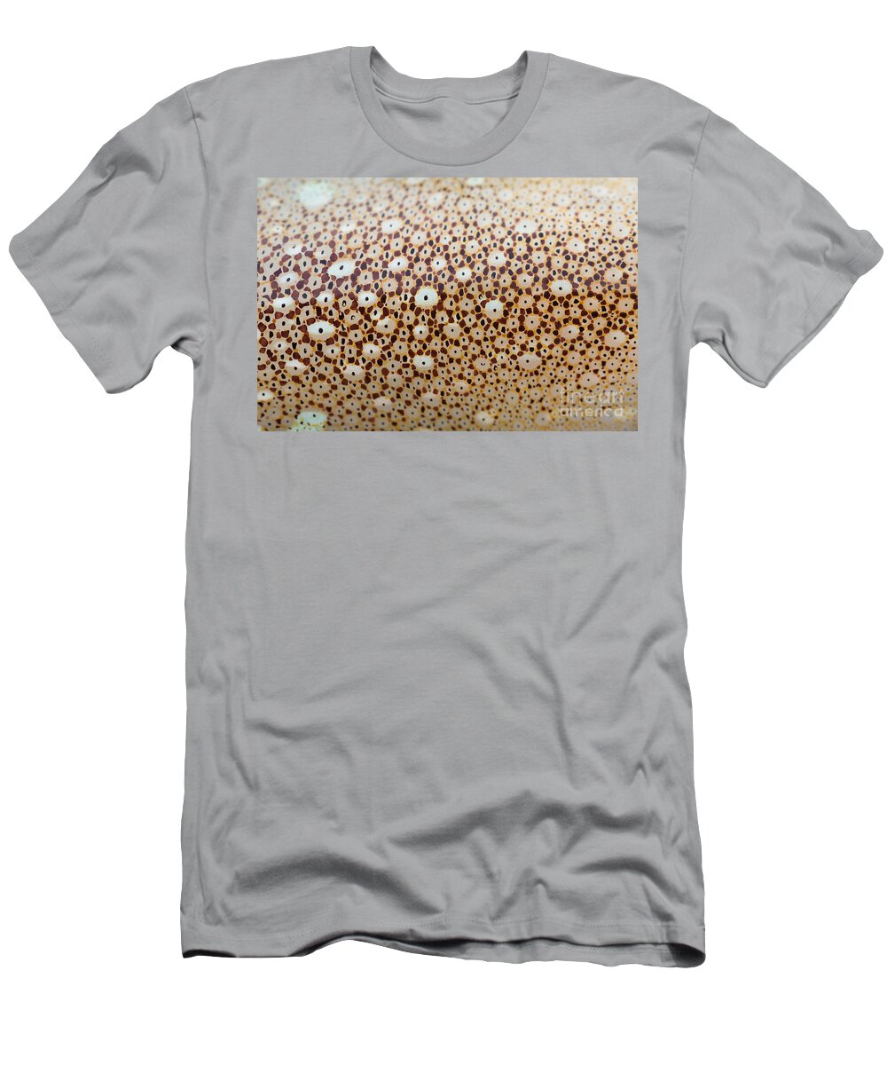 Animal T-Shirt featuring the photograph Squid Skin #6 by Ted Kinsman