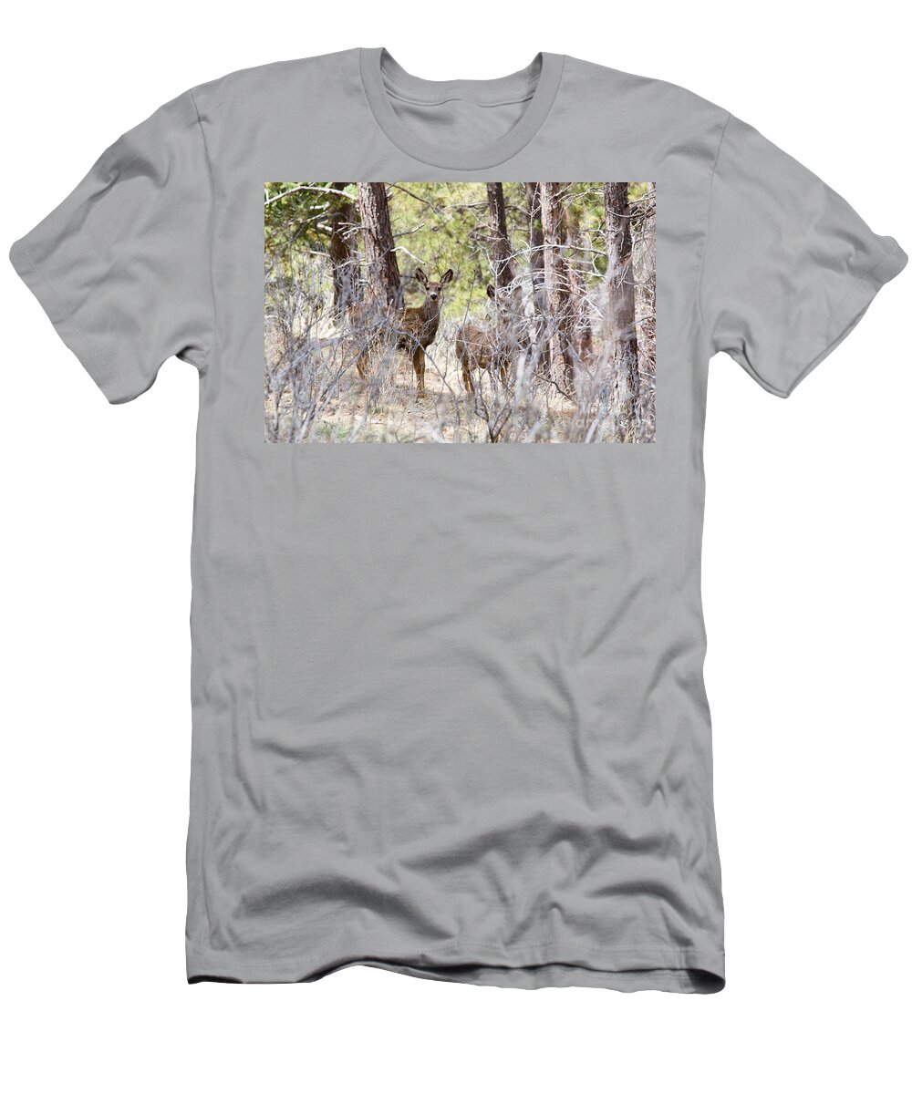 Deer T-Shirt featuring the photograph Mule Deer in the Pike National Forest of Colorado #7 by Steven Krull