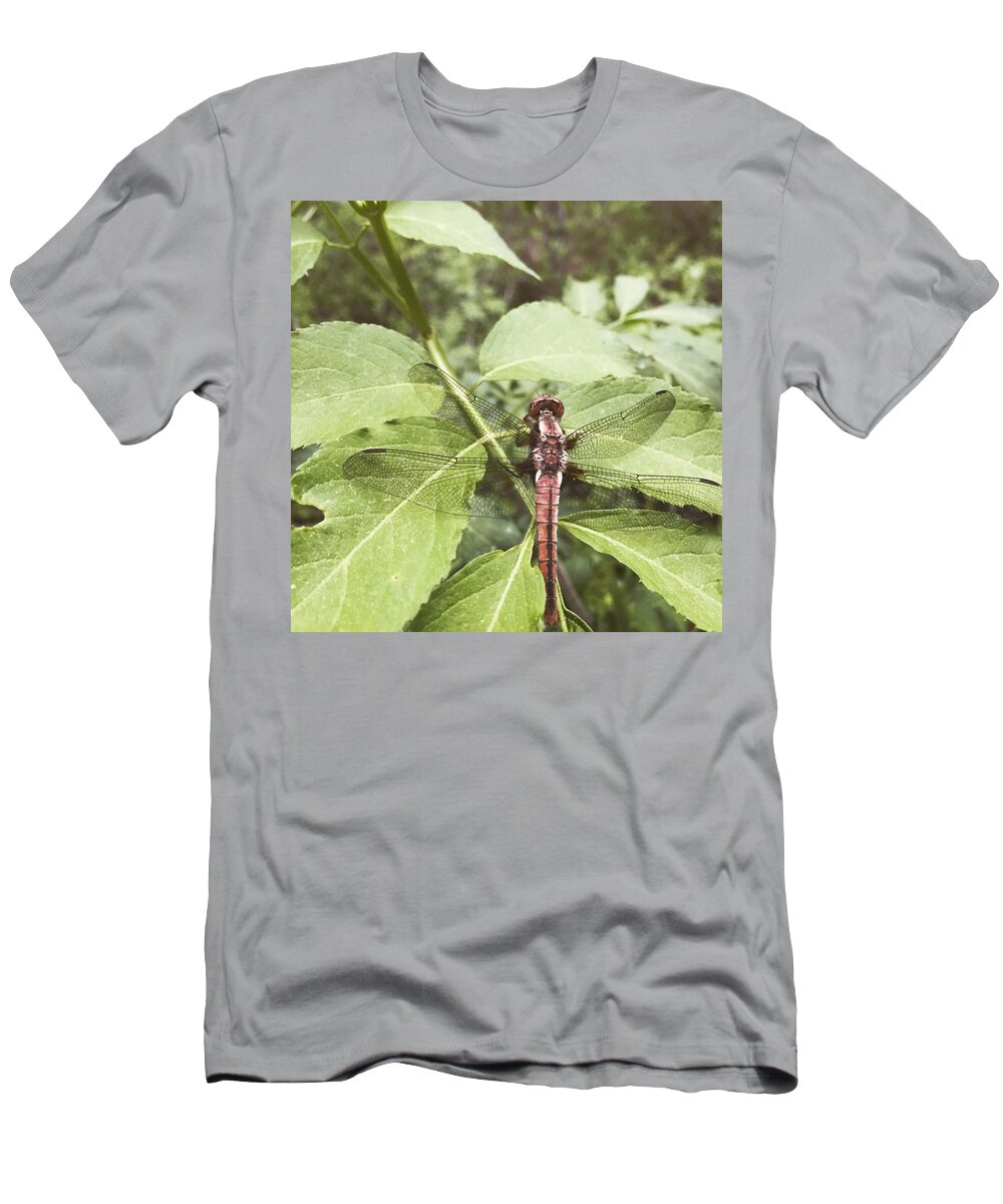 Dragonfly T-Shirt featuring the photograph Dragonfly by Salamander Woods Studio-Homestead