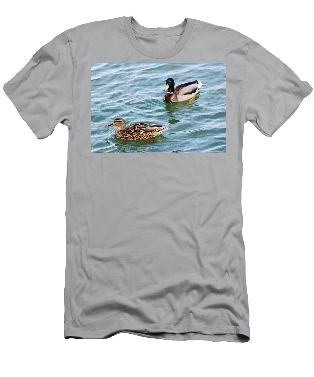 Wildlife River Duck Ducks Animal Waterfront Water Summer Usa America Virginia U.s.a Us Oldtown Alexandria Bird Birds Green Nature Landscape Photo Photography T-Shirt featuring the digital art A Beautiful Couple by Jeanette Rode Dybdahl