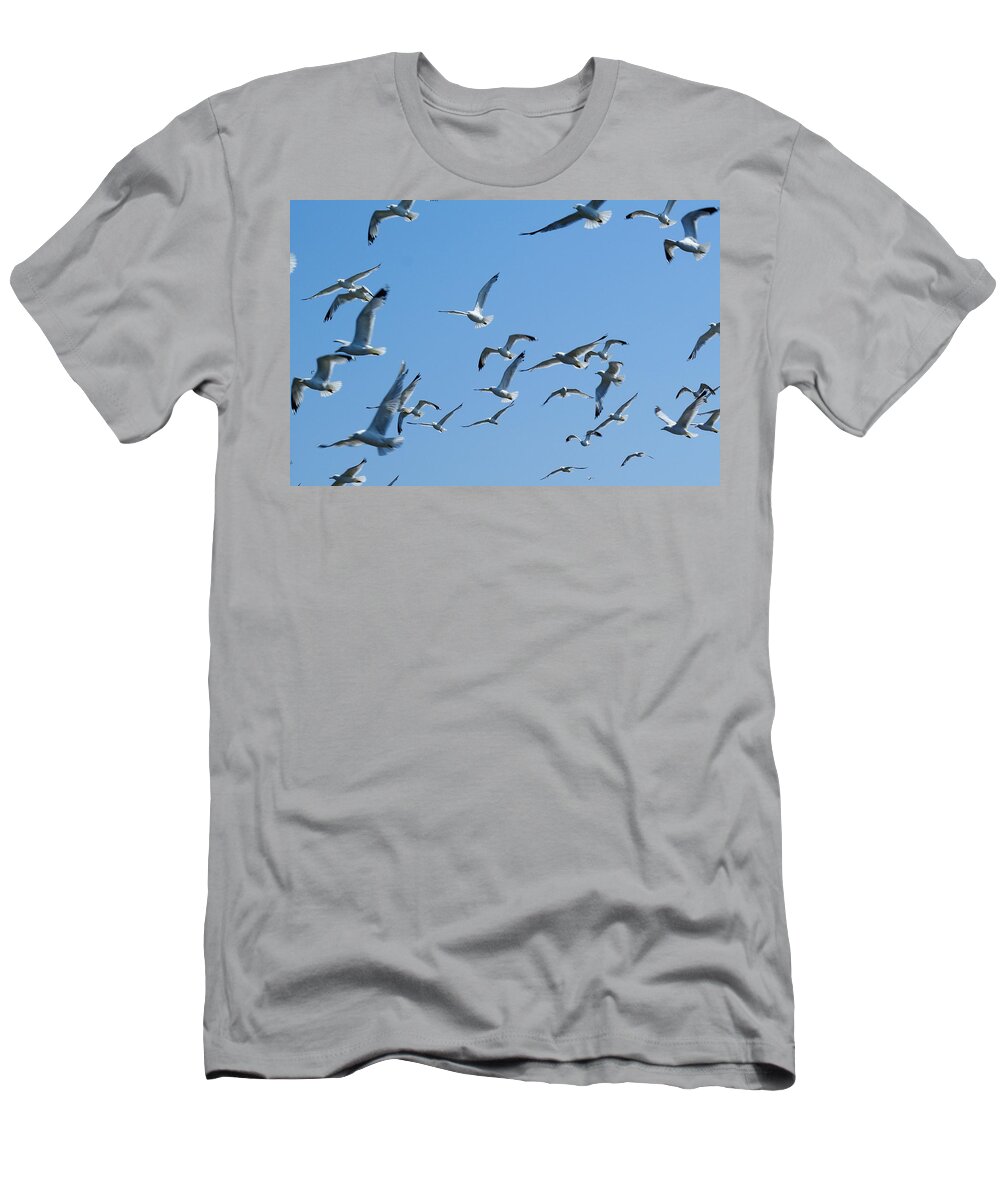 Birds T-Shirt featuring the photograph A Flock of Seagulls by Ben Upham III