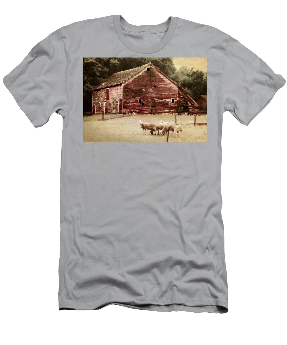 Barn T-Shirt featuring the photograph A Grazy Day by Julie Hamilton