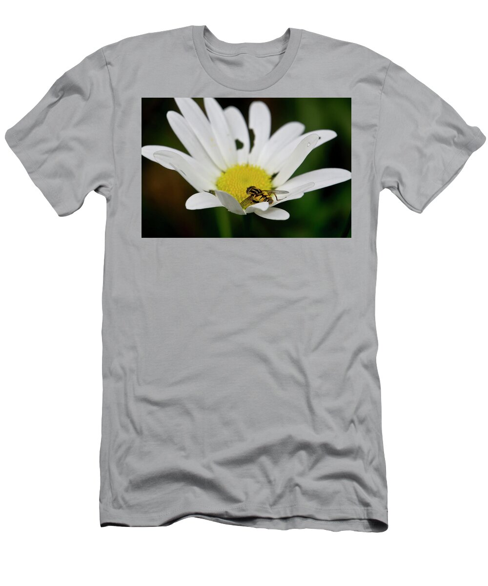 Nature T-Shirt featuring the photograph A Hoverfly and a Daisy by Elena Perelman
