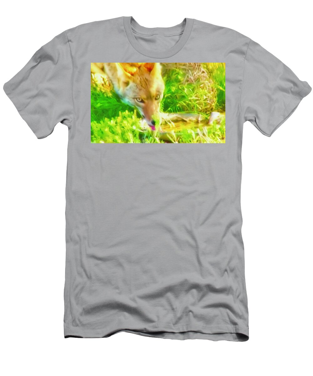 Arizona T-Shirt featuring the photograph A Thirsty Coyote by Judy Kennedy