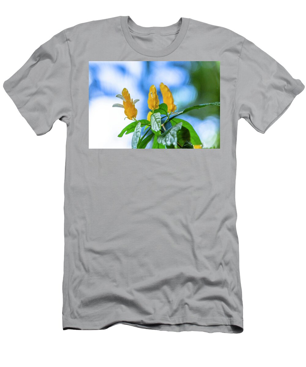 Shrimp T-Shirt featuring the photograph A touch of Yellow by Jason Hughes