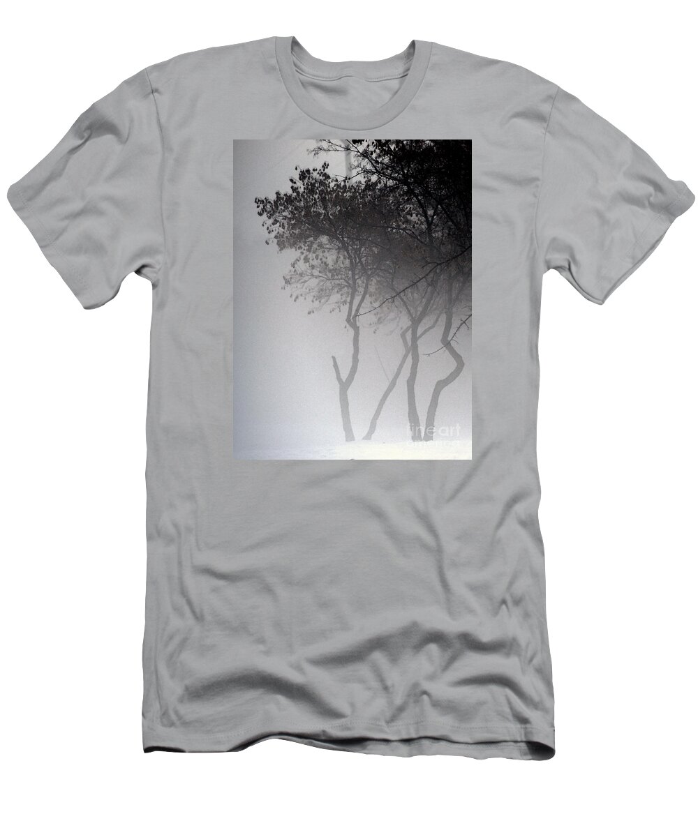 Trees T-Shirt featuring the photograph A Walk Through The Mist by Linda Shafer