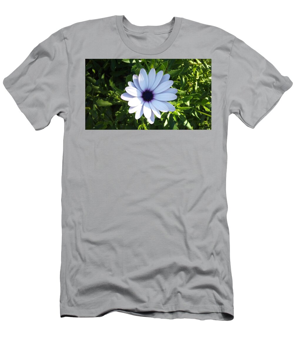 African Daisy T-Shirt featuring the photograph African Daisy by Jackie Russo