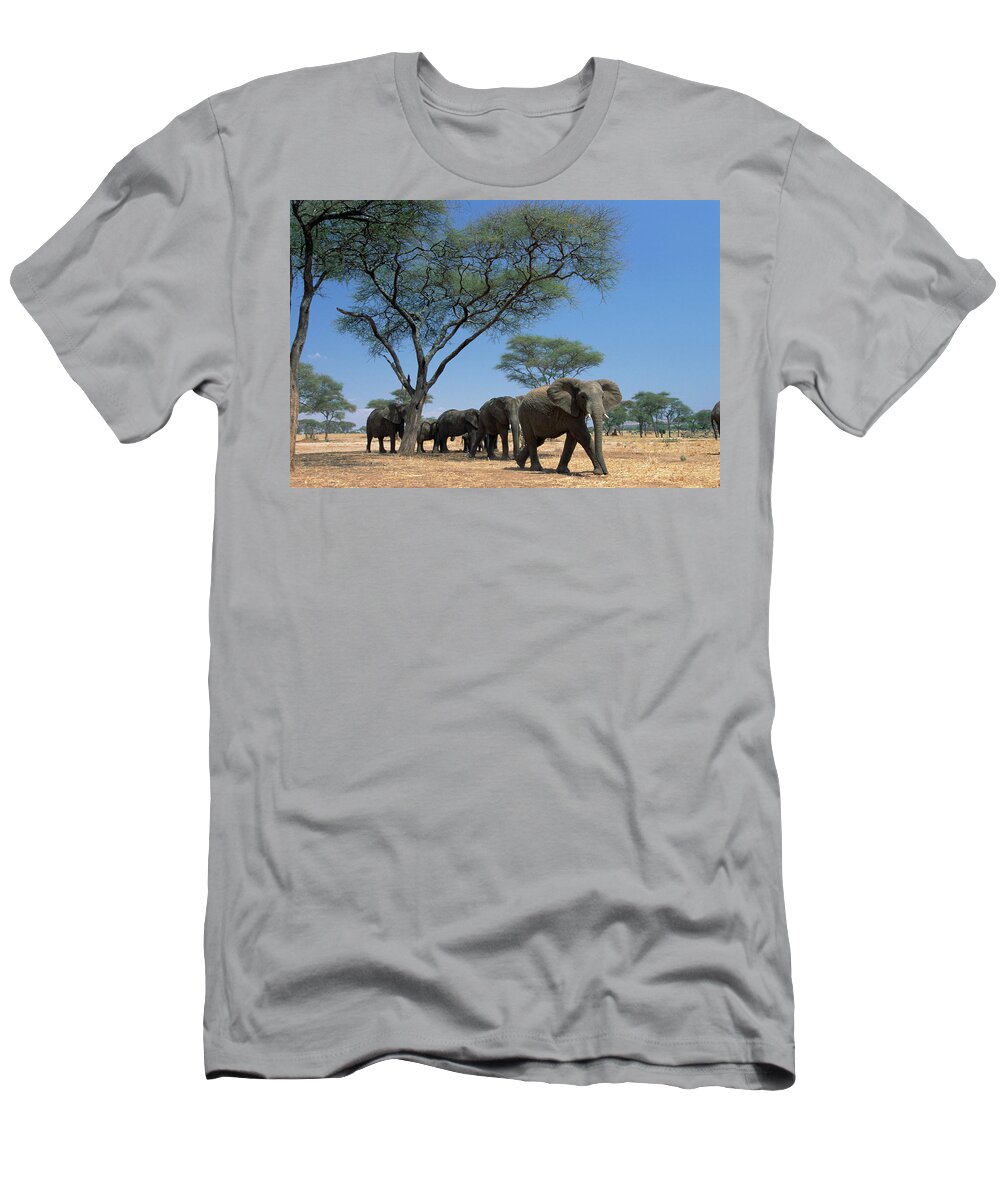 Mp T-Shirt featuring the photograph African Elephant Loxodonta Africana by Gerry Ellis