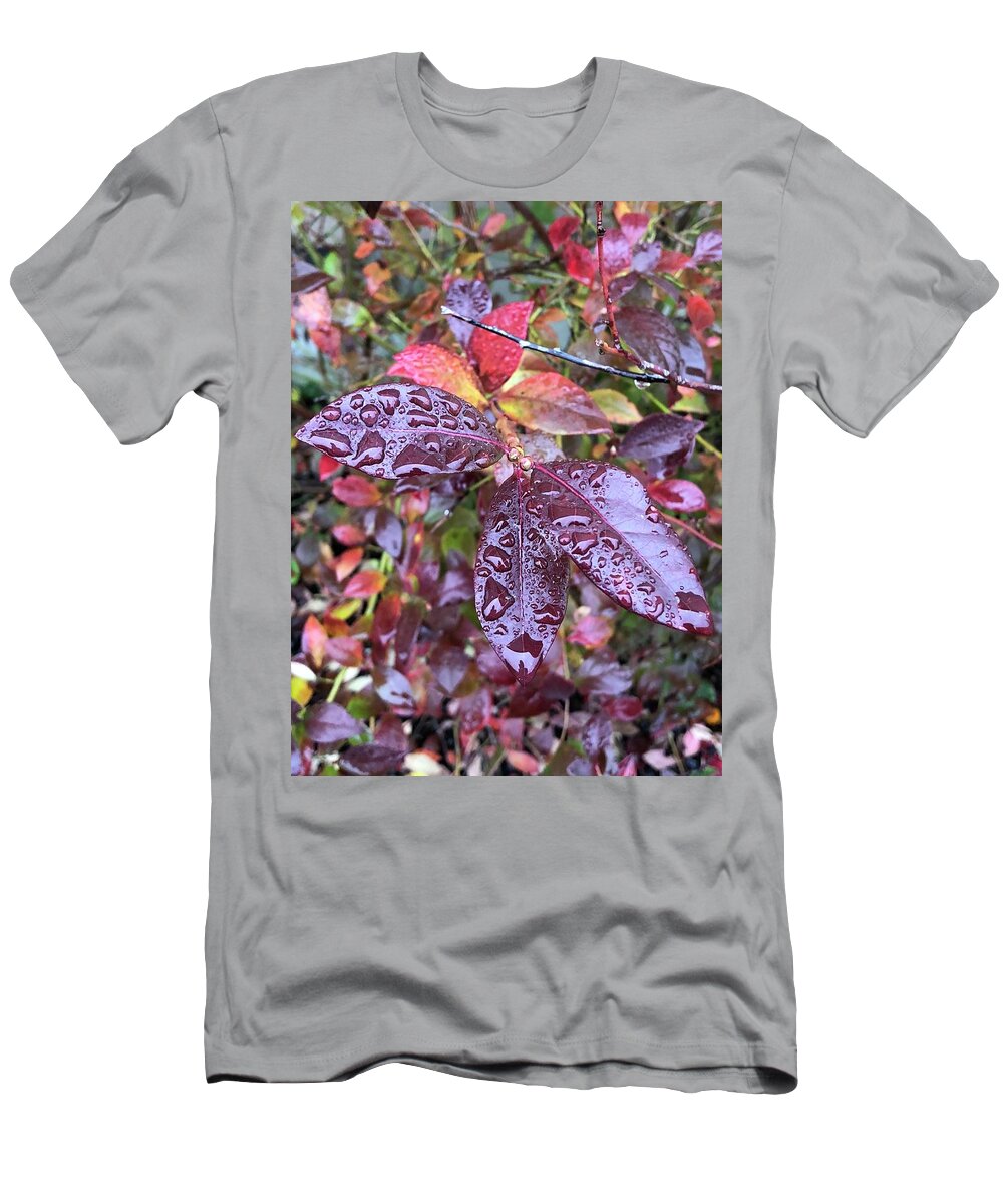 Drops T-Shirt featuring the photograph After The Rain by Brian Eberly