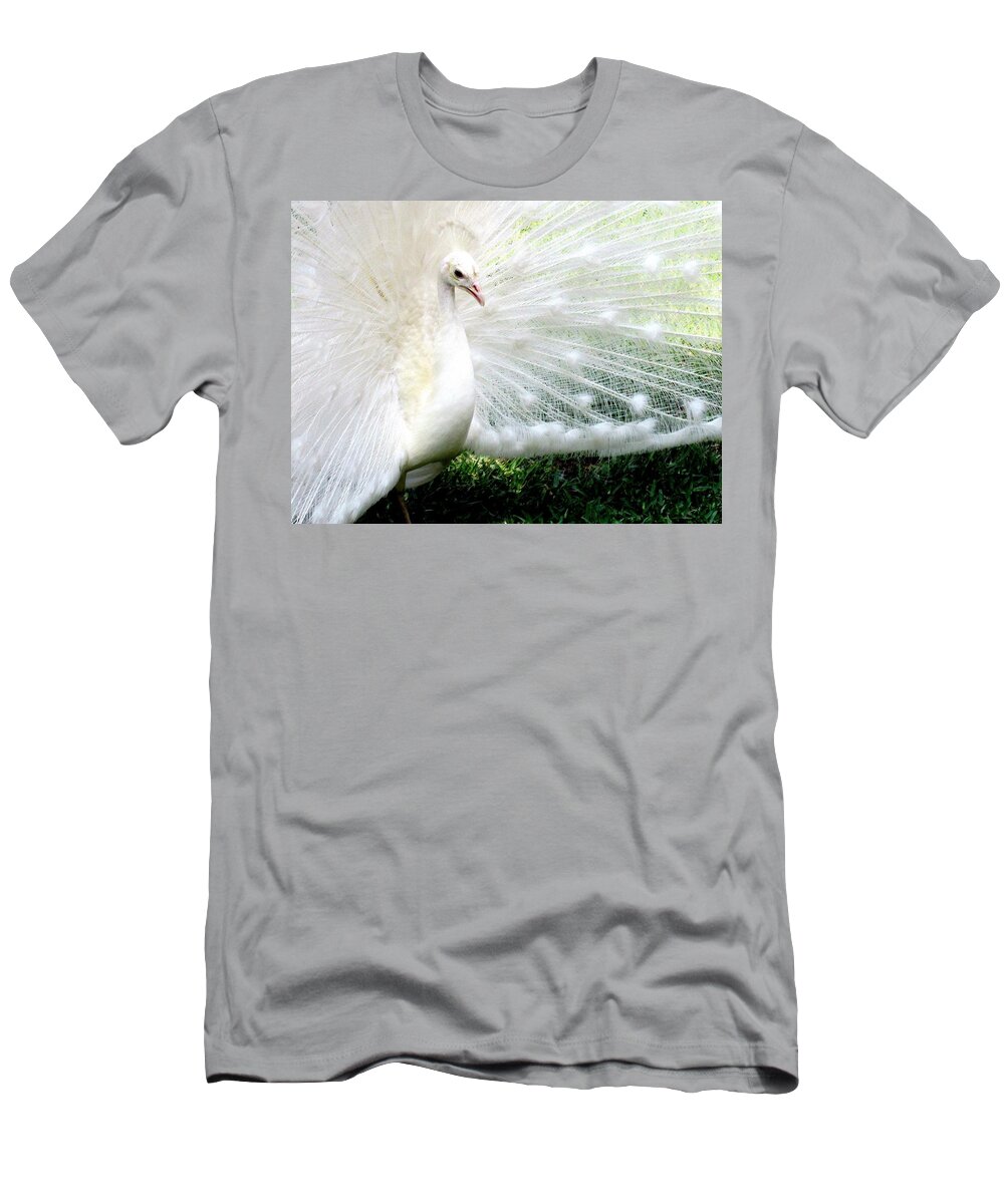 Albino T-Shirt featuring the photograph Albino Peacock Photograph by Kimberly Walker