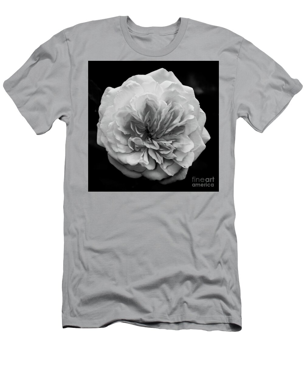 Rose T-Shirt featuring the photograph Alchymist Rose Black and White Nature / Floral Photograph by PIPA Fine Art - Simply Solid