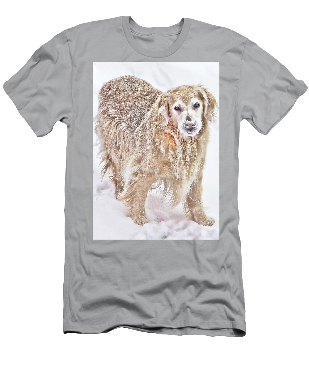 Pets T-Shirt featuring the photograph Always by Rhonda McDougall