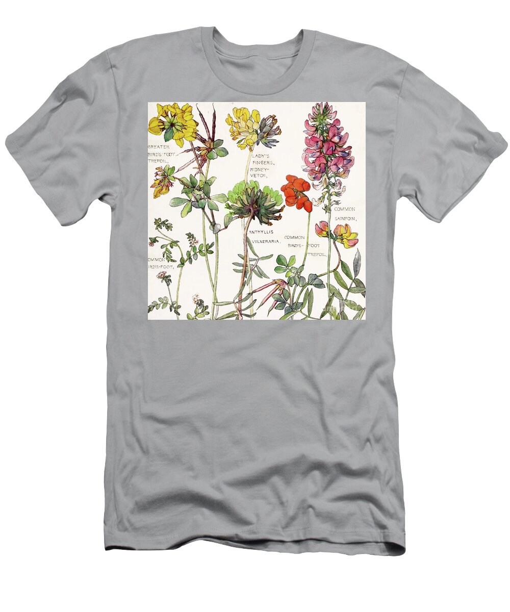 Flowers T-Shirt featuring the painting Ambrosia V by Mindy Sommers