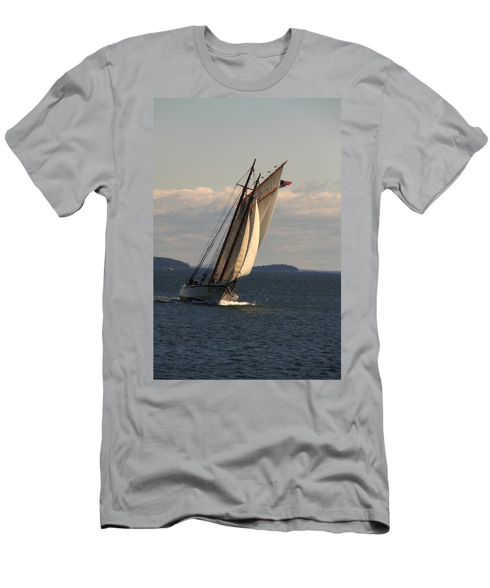 Seascape T-Shirt featuring the photograph American Eagle In A Good Wind by Doug Mills
