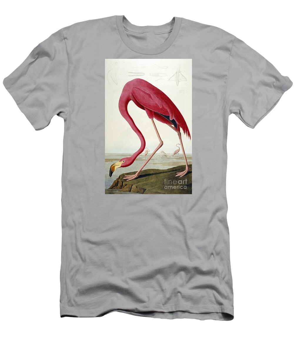 John James Audubon (jean-jacques Audubon) (1785  1851) T-Shirt featuring the painting American Flamingo by MotionAge Designs