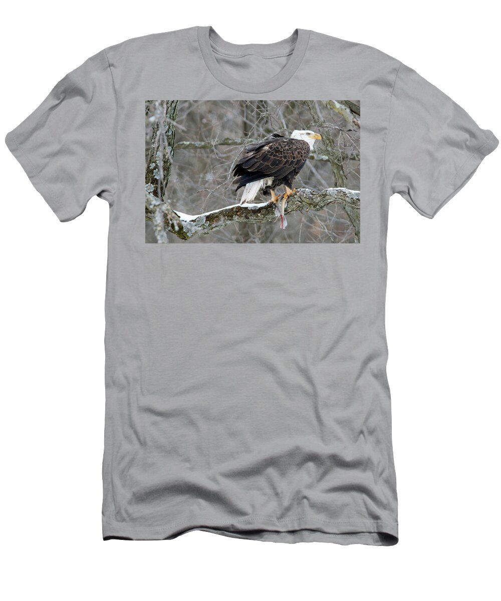 Bald Eagle T-Shirt featuring the photograph An Eagles Catch by Brook Burling
