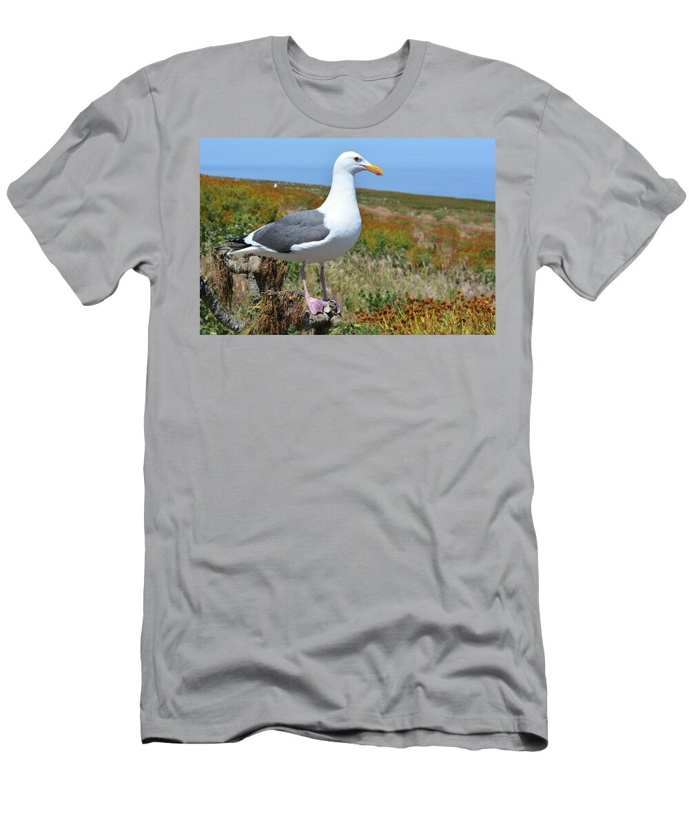 Channel Islands National Park T-Shirt featuring the photograph Anacapa Island Seagull by Kyle Hanson