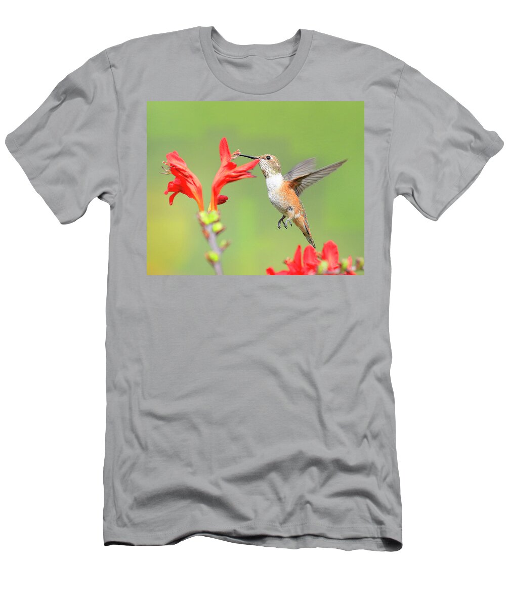 Anna's Hummingbird T-Shirt featuring the photograph Anna's Hummingbird 3 by Steve McKinzie