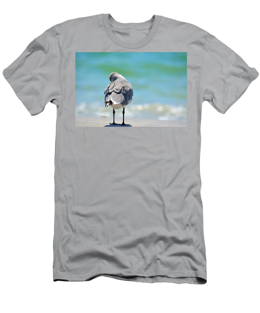 Pigeon T-Shirt featuring the photograph Another Day Dreamer by Alison Belsan Horton