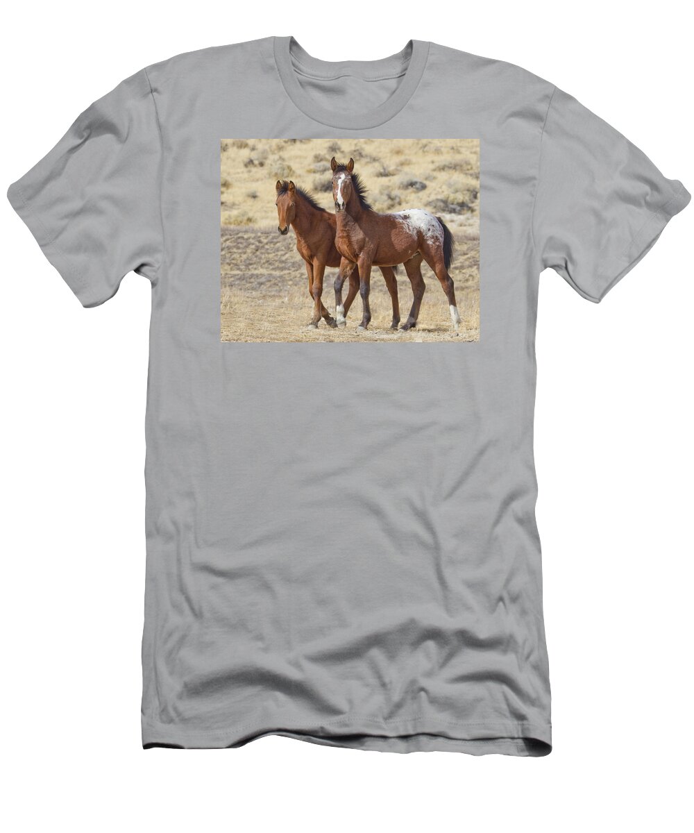 Horses T-Shirt featuring the photograph Appaloosa Mustang Foals by Waterdancer