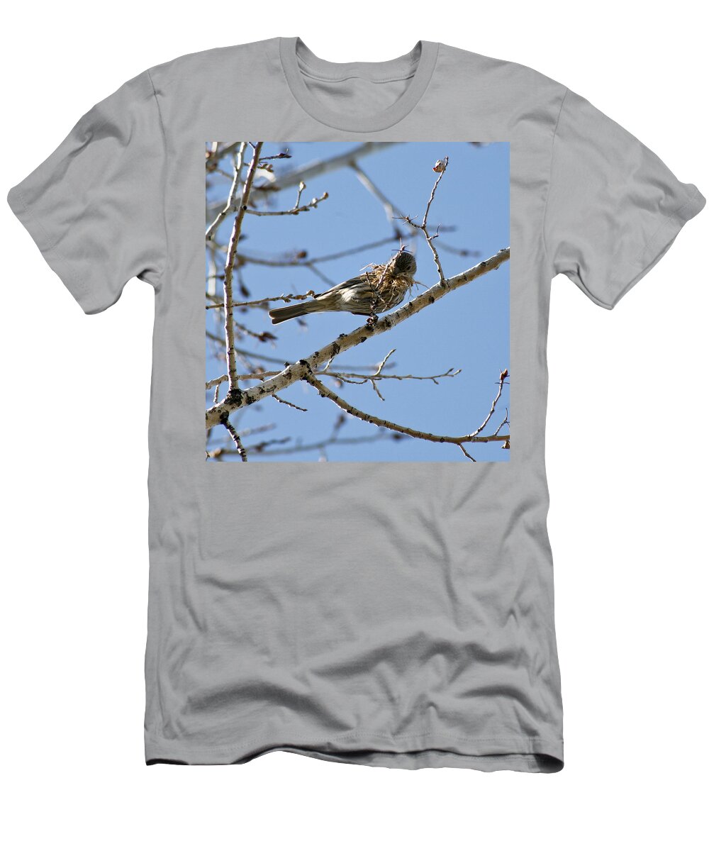 Bird T-Shirt featuring the photograph Architect by Marilyn Hunt