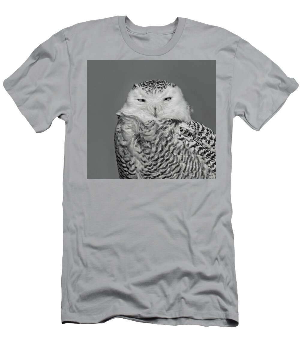 Snowy Owl T-Shirt featuring the photograph Arctic Visitor by Jim Zablotny