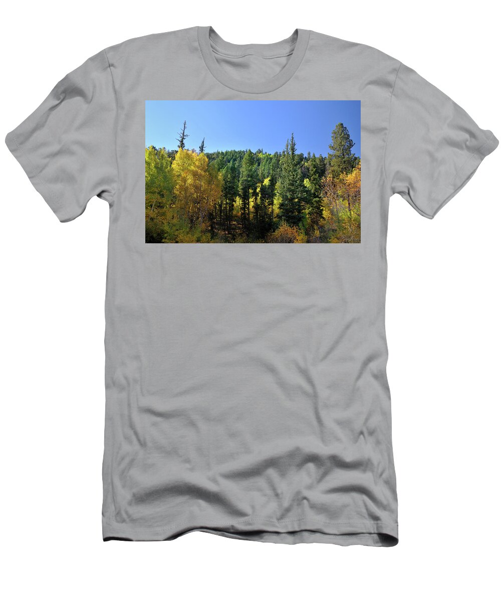 Landscape T-Shirt featuring the photograph Aspen And Cottonwood In Concert by Ron Cline
