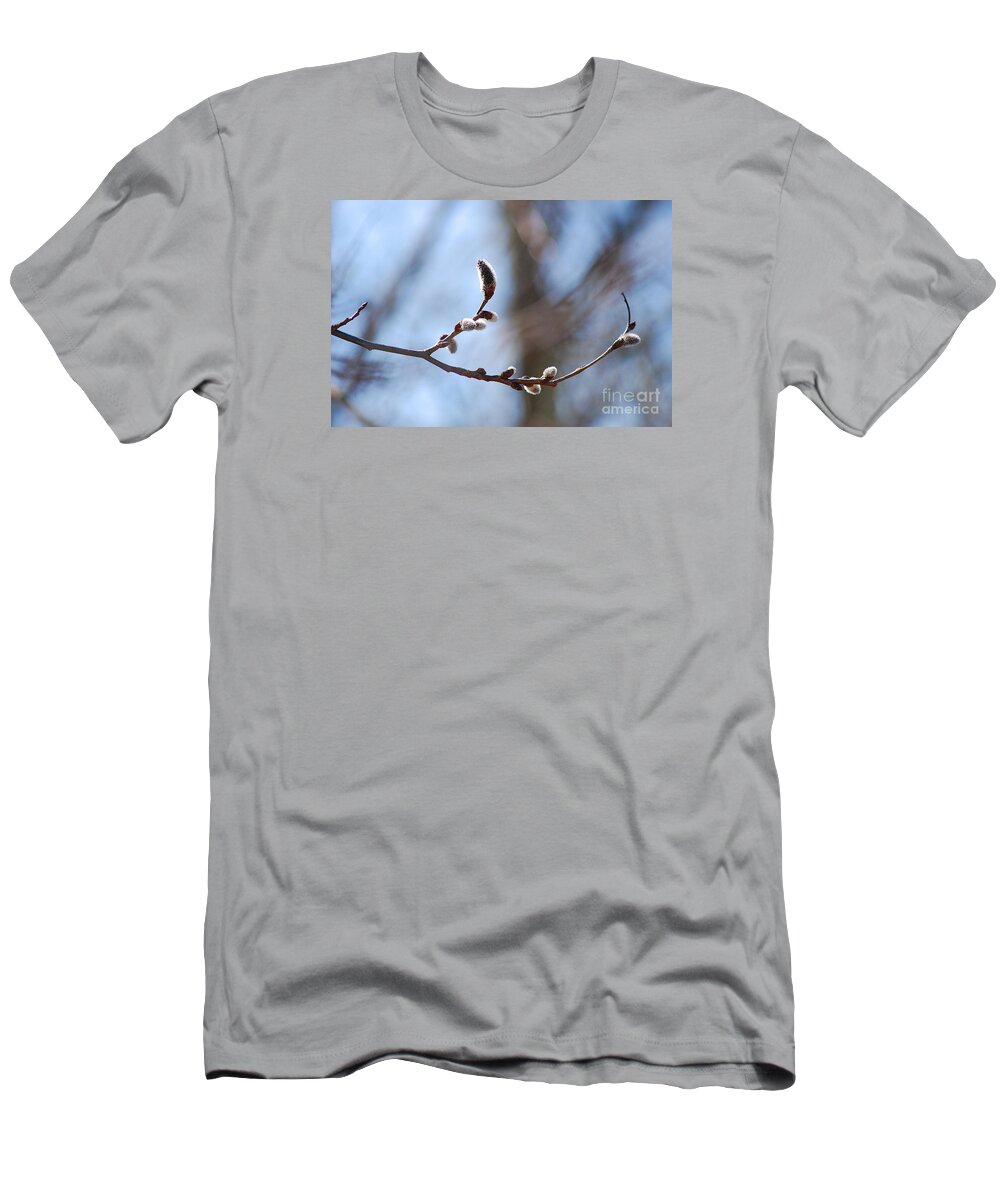 Catkins T-Shirt featuring the photograph Aspen Catkins 20120314_33a by Tina Hopkins