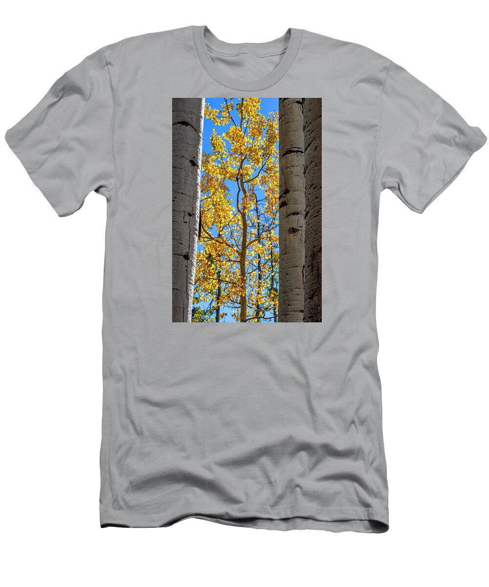 Aspen T-Shirt featuring the photograph Aspen Sides by Michael Brungardt