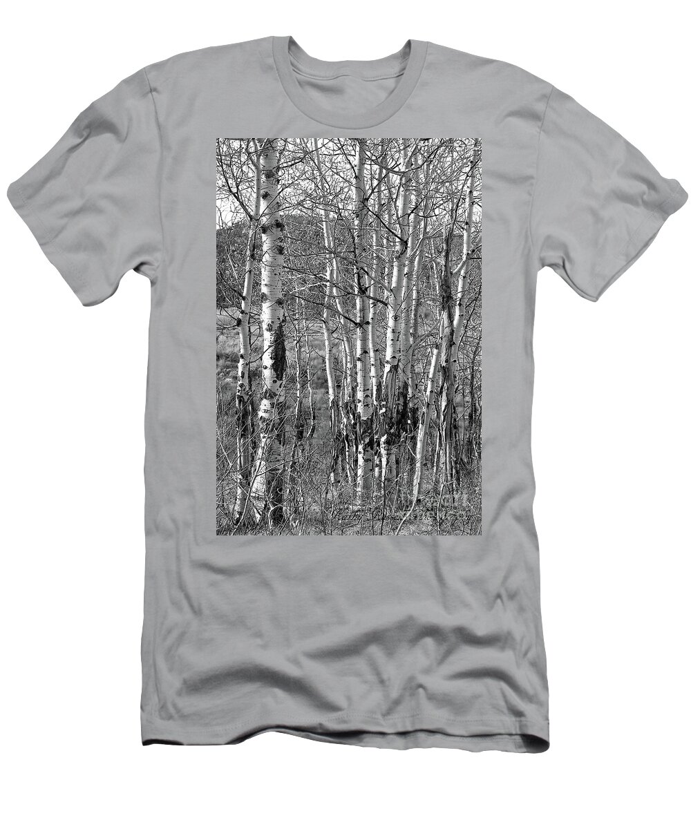 Aspens T-Shirt featuring the photograph Aspens by Kathy Russell