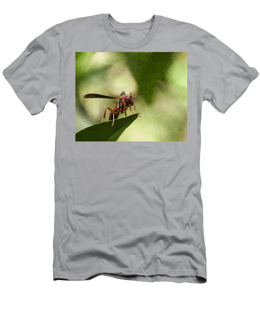 Wasp T-Shirt featuring the photograph Attack Mode by Steven Richardson