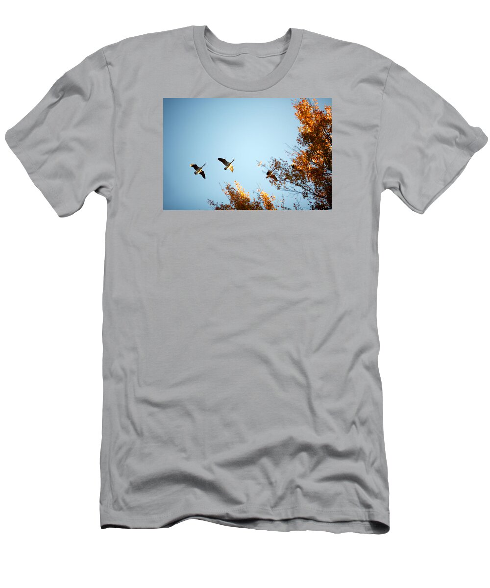 Autumn T-Shirt featuring the photograph Autumn Geese by Todd Klassy