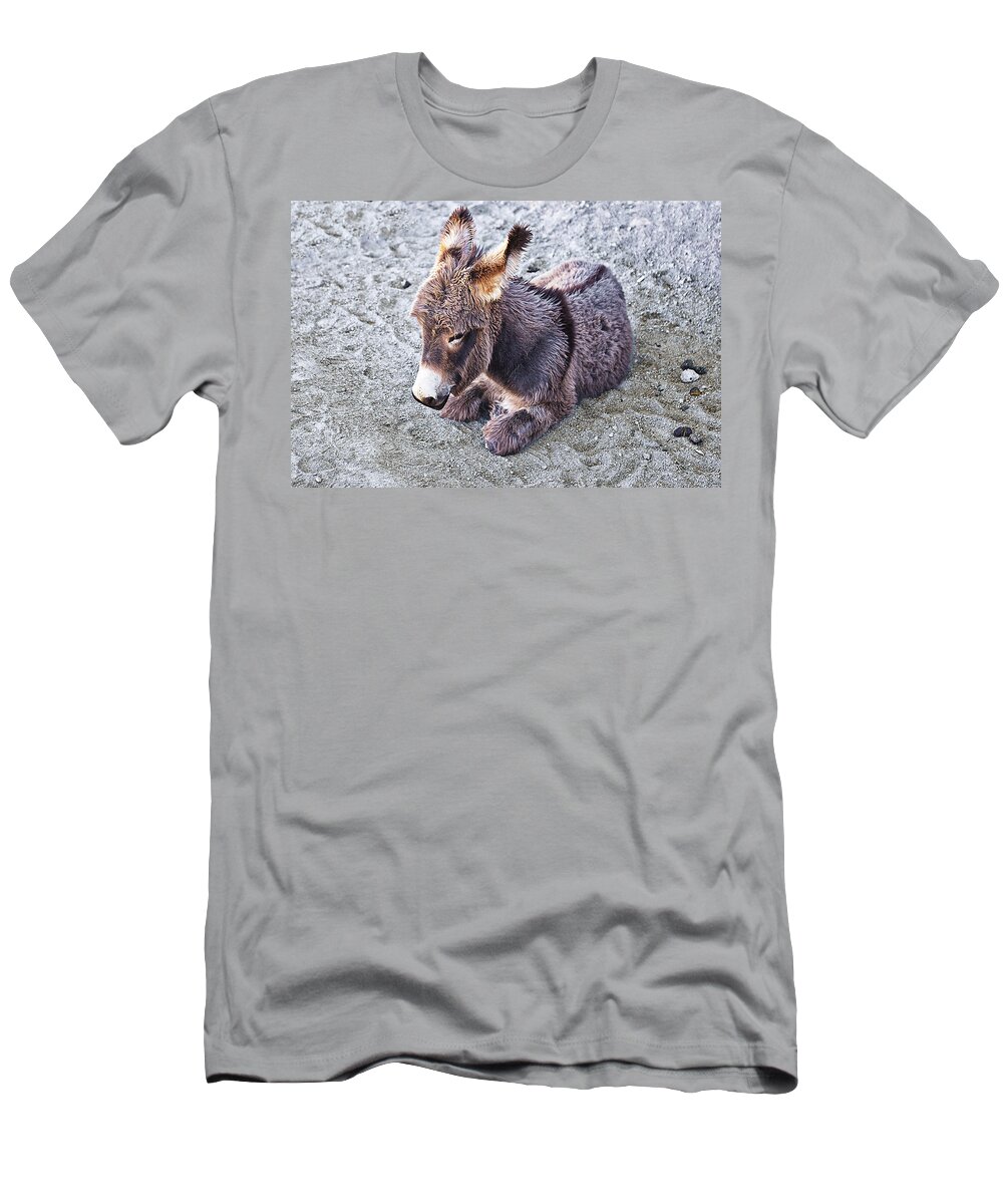 Baby Burro T-Shirt featuring the photograph Baby burro by Tatiana Travelways