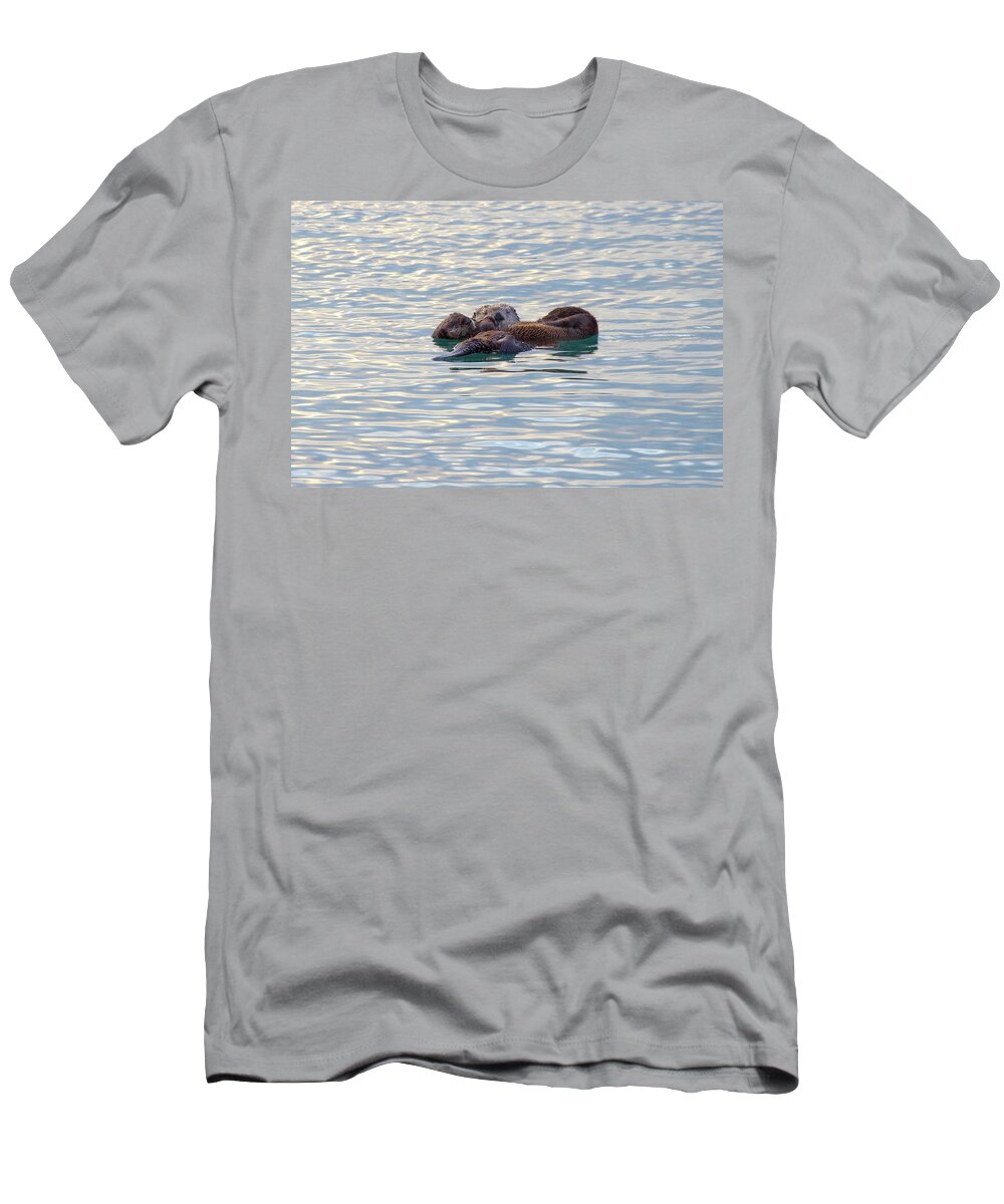 Sea Otter T-Shirt featuring the photograph Babysitting by Duncan Selby