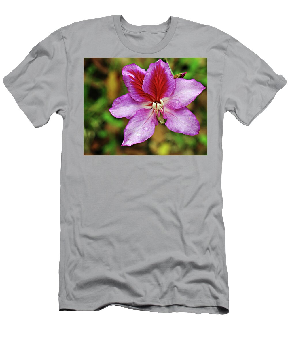  T-Shirt featuring the photograph Bahinia Tree Flower by Bob Johnson