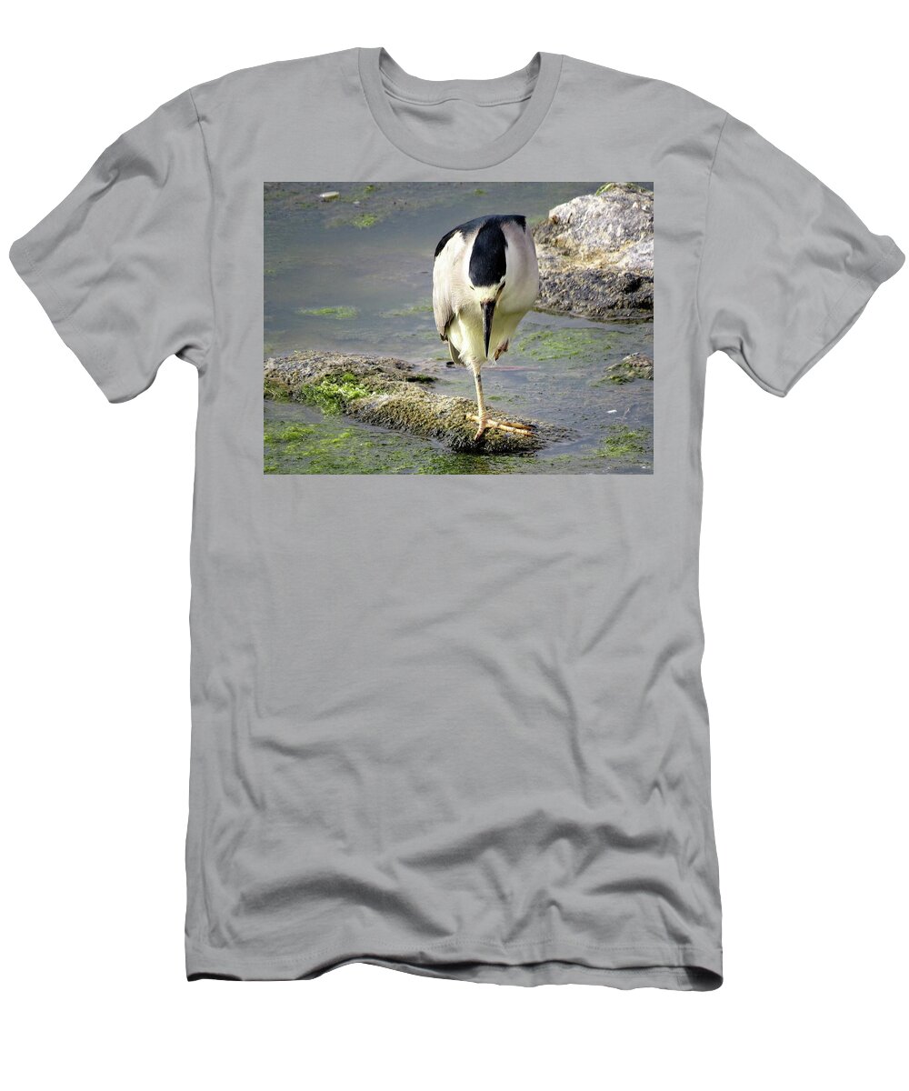 Birds T-Shirt featuring the photograph Balance by Linda Stern