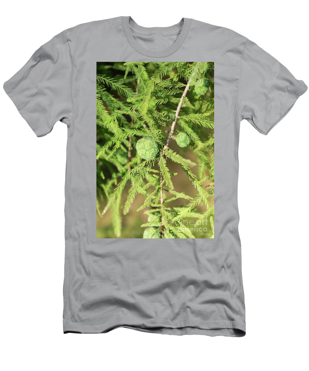 Bald Cypress T-Shirt featuring the photograph Bald Cypress Seed Cone by Jennifer White