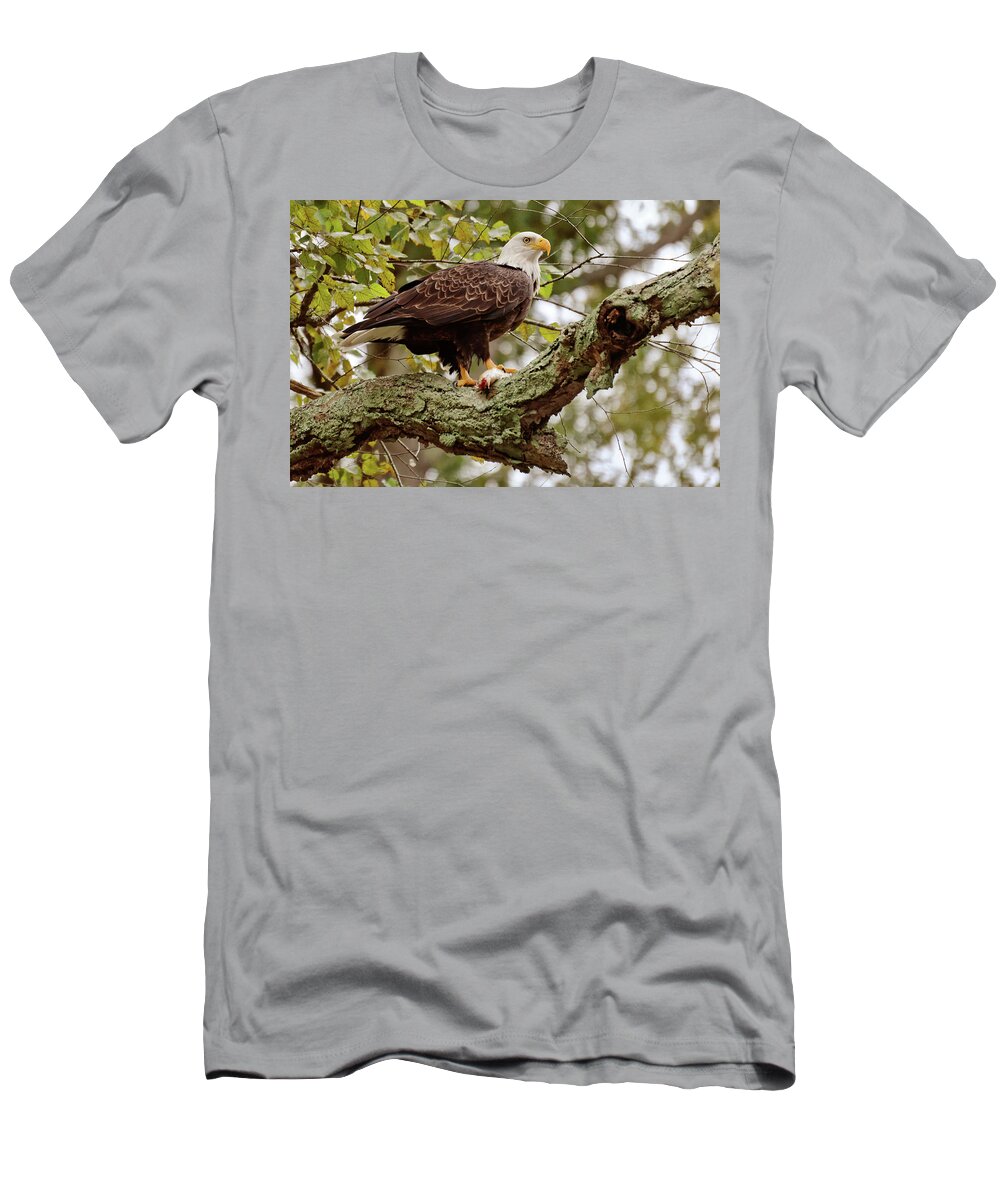 Eabgle T-Shirt featuring the photograph Bald Eagle by Robert Charity